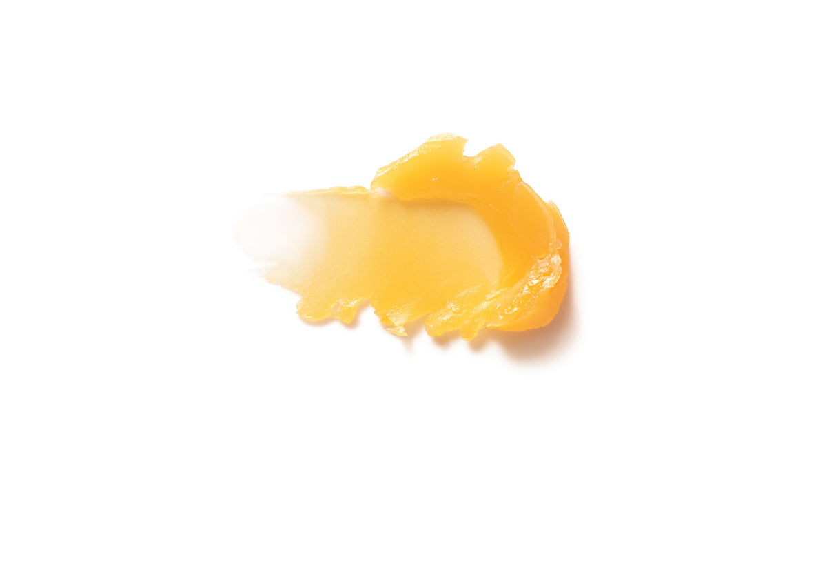 Lip Care Stick 4.9g