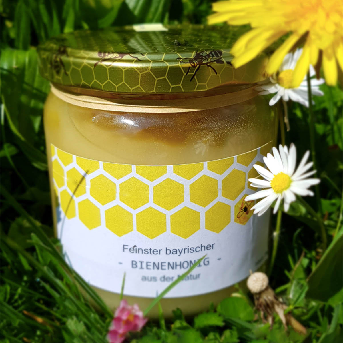 German Organic Honey Bienenhonig 500g
