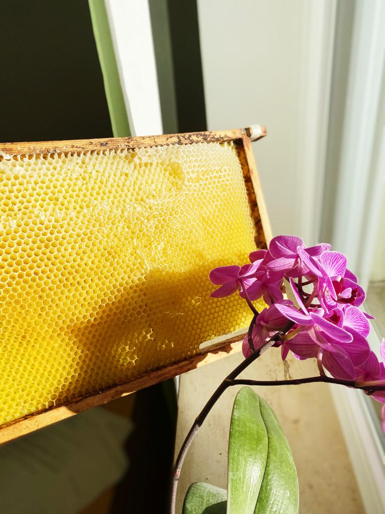 German Organic Honey Bienenhonig (Liquid) 250g